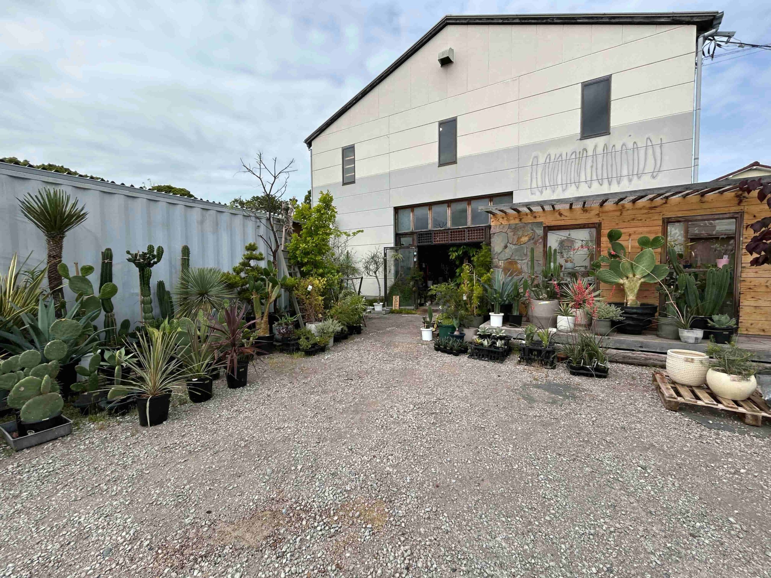 千葉県長生郡の「サボテンミサイル」は、多くの観葉植物＆多肉植物を